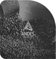 Audio logo